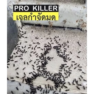 เจลกำจัดมด 50 กรัม PRO KILLER เจ้าของแบรนด์