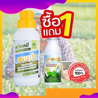 ปุ๋ยน้ำเอมม่า ขนาด 1000 ซีซี (แถมฟรี เอฟอช100ซีซี 1 ขวด) ป้องกันเชื้อราในพืช เอมม่า ปุ๋ยน้ำสูตรเข้มข้น ปุ๋ยเอมม่า