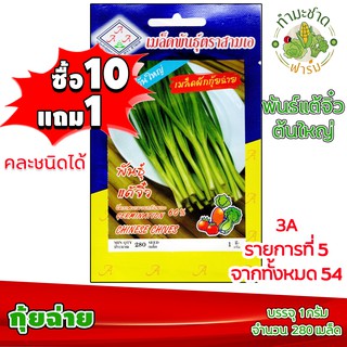 (ซื้อ10แถม1) เมล็ดพันธุ์ กุยช่าย Chinese Chives ประมาณ 280เมล็ด 3A สามเอ กุยฉ่าย กุ้ยช่าย กุ้ยฉ่าย ผักสวนครัว