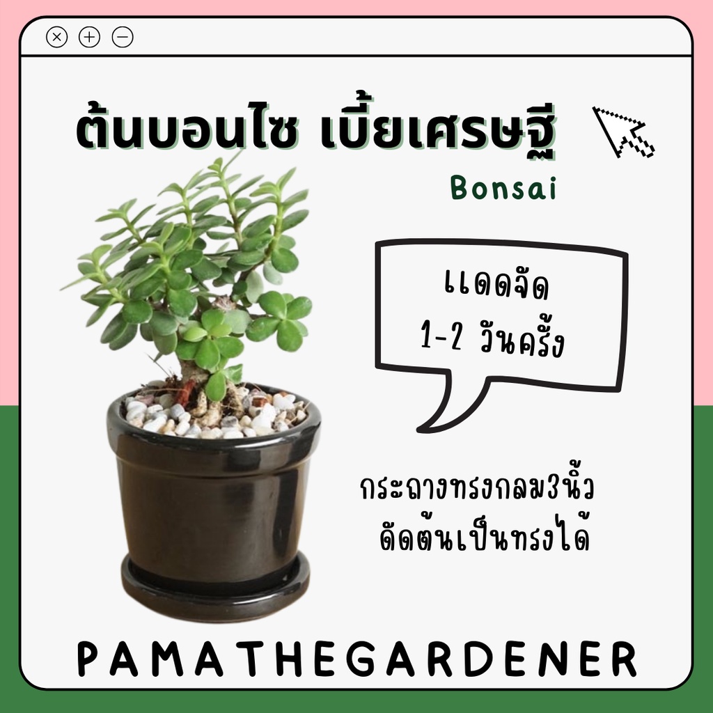 มุมมอง 2