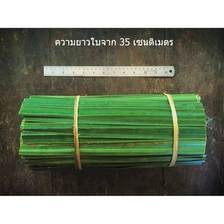 ใบจากสด organic ใบจากทำขนม ใบจากห่อขนม จากชุมชนในบาง