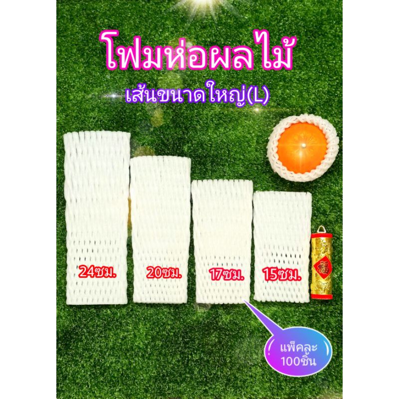 โฟมห่อผลไม้ 100ชิ้น ตาข่ายโฟม เส้นใหญ่(L) ยาว 15/17/20/24ซม. โฟมห่อมะม่วง โฟมห่อมะละกอ โฟมกันกระแึทก Foam Fruit Net COD