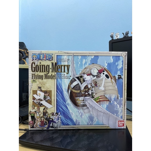Going Merry Flying Model