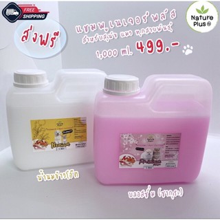 สินค้าขายดี!! แชมพูหมาเชื้อรา 1 แกลอน ขนาด1000ml แก้อาการโรคผิวหนัง คันเกา แชมพู Narureplus