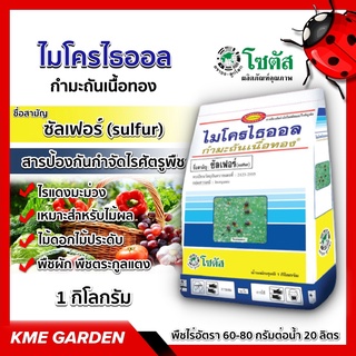 🐞แมลง🐞 ไมโครไธออล 1 กิโลกรัม โซตัส ซัลเฟอร์ กำมะถันเนื้อทอง สารป้องกันกำจัด ไรศัตรูพืช เช่น ไรแดง มะม่วง เกษตร สวน