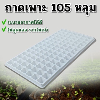 สีขาวถาดเพาะกล้า ถาดเพาะเมล็ด (แบบหนา 1.0mm) ขนาด 105, 128หลุม