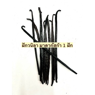 ฝักวนิลา 1 ฝัก ฝักวนิลามาดากัสก้า vanilla bean หอม วนิลาทำขนม