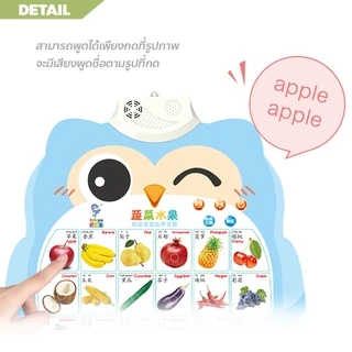 ERORO โปสเตอร์นกฮูกพูดได้ 1-3ภาษา กดมีเสียง สำหรับเรียนรู้คำศัพท์ภาษาจีน ภาษาอังกฤษ