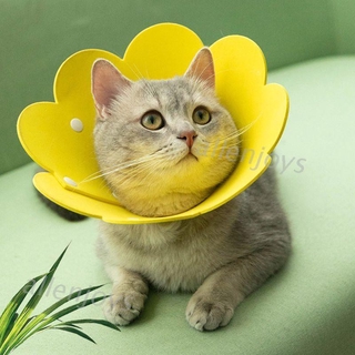 Joy กรวยป้องกันบาดแผลสําหรับแมว