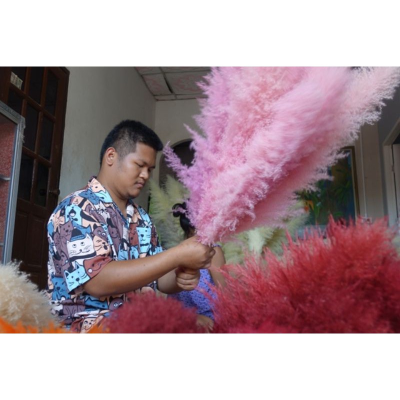 สีย้อมกก(ตราหัวม้า🐴) ย้อมผือ ย้อมหญ้า ย้อมพืช สีแต้มหมี่ (ซอง)