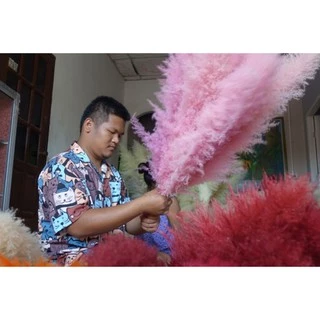 สีย้อมกก(ตราหัวม้า🐴) ย้อมผือ ย้อมหญ้า ย้อมพืช สีแต้มหมี่ (ซอง)