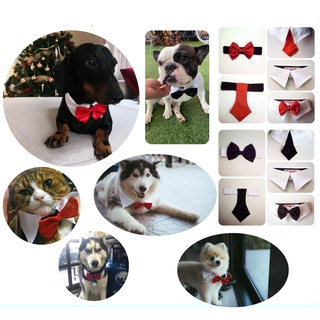 ปลอกคอสำหรับหมาแมว มีโบว์ เนทไท สไตส์คอปกเชิ๊ต ปลอกคอหมาใหญ่…