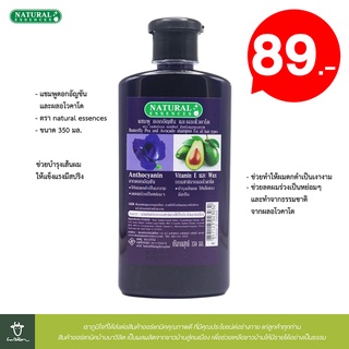 แชมพูดอกอัญชัน และผลอโวคาโด Butterfly Pea &amp; Avocado shampoo ขนาด 350 มล. (natural essences)