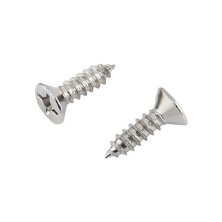 อุปกรณ์ยึดติด สกรูเกลียวปล่อย TF 12X3/4 นิ้ว 25 ตัว Screws, Nuts &amp; Washers