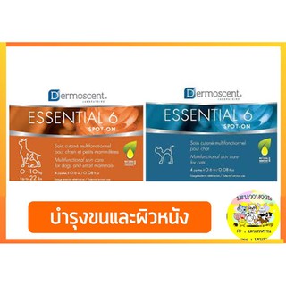 Dermoscent essential6 บำรุงขนสุนัข,แมว (ยกกล่อง)