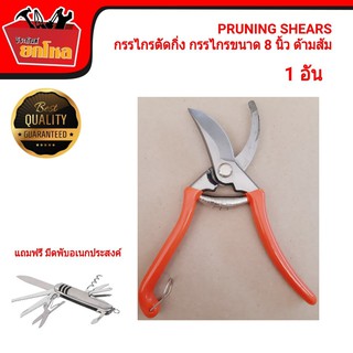 PRUNING SHEARS กรรไกรตัดกิ่ง กรรไกรตัดกิ่งไม้ ขนาด 8 นิ้ว แถมฟรี มีดพับอเนกประสงค์ มูลค่า 89 บาท