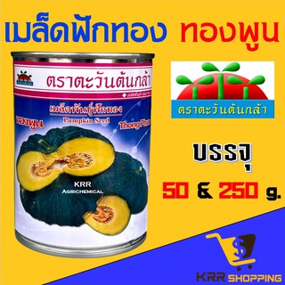 เมล็ดพันธ์ฟักทอง"ทองพูน"ตราตะวันต้นกล้า ขนาด 250 กรัม และ 50 กรัม ฟักทอง ทองพูน ฟักทองทองพูน