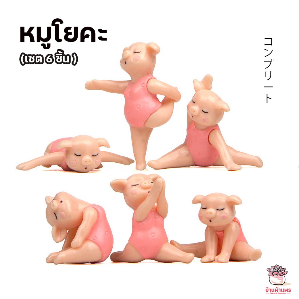หมูโยคะ [ เซต 6 ชิ้น ] ตุ๊กตาจิ๋ว โมเดลจิ๋ว แต่งสวน