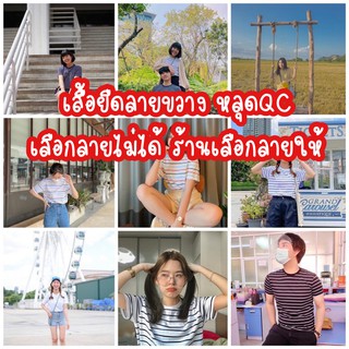 เสื้อยืดลายขวาง หลุดQC