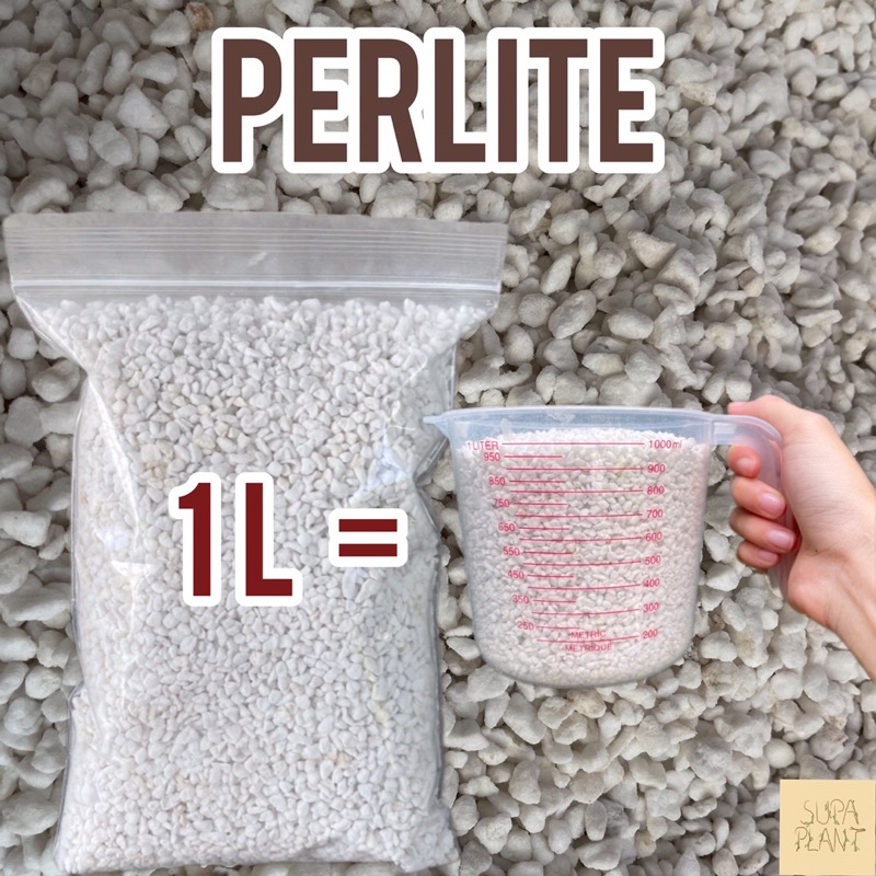 เพอร์ไลท์ (perlite) เกรดส่งออก