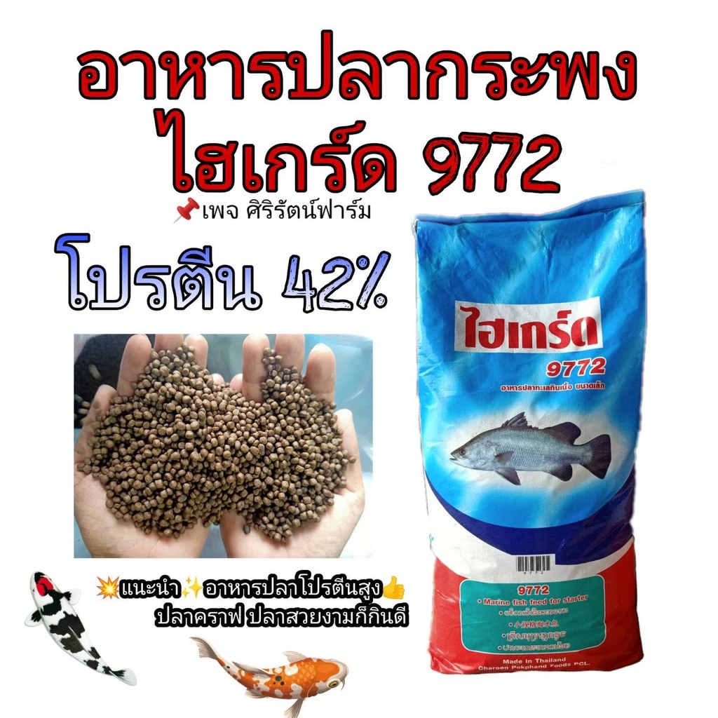 อาหารปลากระพง ไฮเกร์ด แบ่งขาย 1 กก. อาหารปลาทะเล
