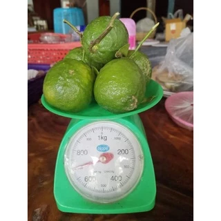 📣ส้มซ่า คัดไซส์ ผลเขียวๆ แถมทุกออเดอร์(ลูกแถมไม่ห่อโฟม) ผิวสวย เก็บสดใหม่จากต้น (ประมาณ 8 ลูก/โล สั่งขั้นต่ำ 2 โลครับ)​