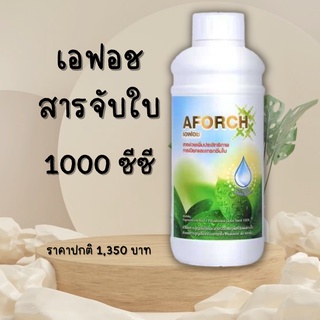 สารจับใบ เอฟอช (AFORCH) 1000ซีซี สารจับใบคุณภาพสูง ช่วยเพิ่มประสิทธิภาพการแทรกซึมใบ