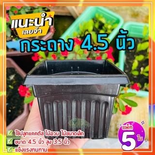 แพ็ค 5 ใบ 🏡 กระถางต้นไม้ 4.5 นิ้ว กระถางแคคตัส กระถางไม้อวบน้ำ กระถางพลาสติกสี่เหลี่ยม กระถางกระบองเพชร