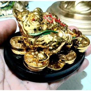 กบคาบเหรียญชว่ยเพิ่มพูนเงินทอง วางตรงลิ้นชักเก็บเงินกระปุกออมสินเชือกันว่ากบจะคายเงิน คายทองไห้