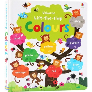 Usborne Lift-the-flap : Colours