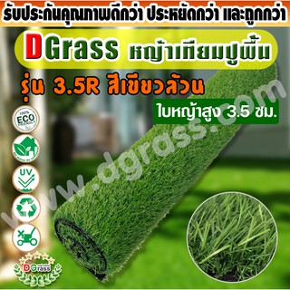 หญ้าเทียม ปูพื้น Dgrass หญ้าเทียม ตกแต่งสวน ความสูง 3.5 ซม. รุ่น DG-3.5-ROTHENBURG (3.5R เขียวล้วน)