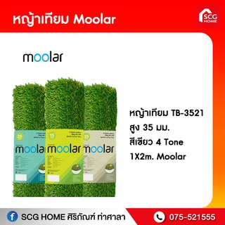 หญ้าเทียม tb-3521 1x2m. moolar