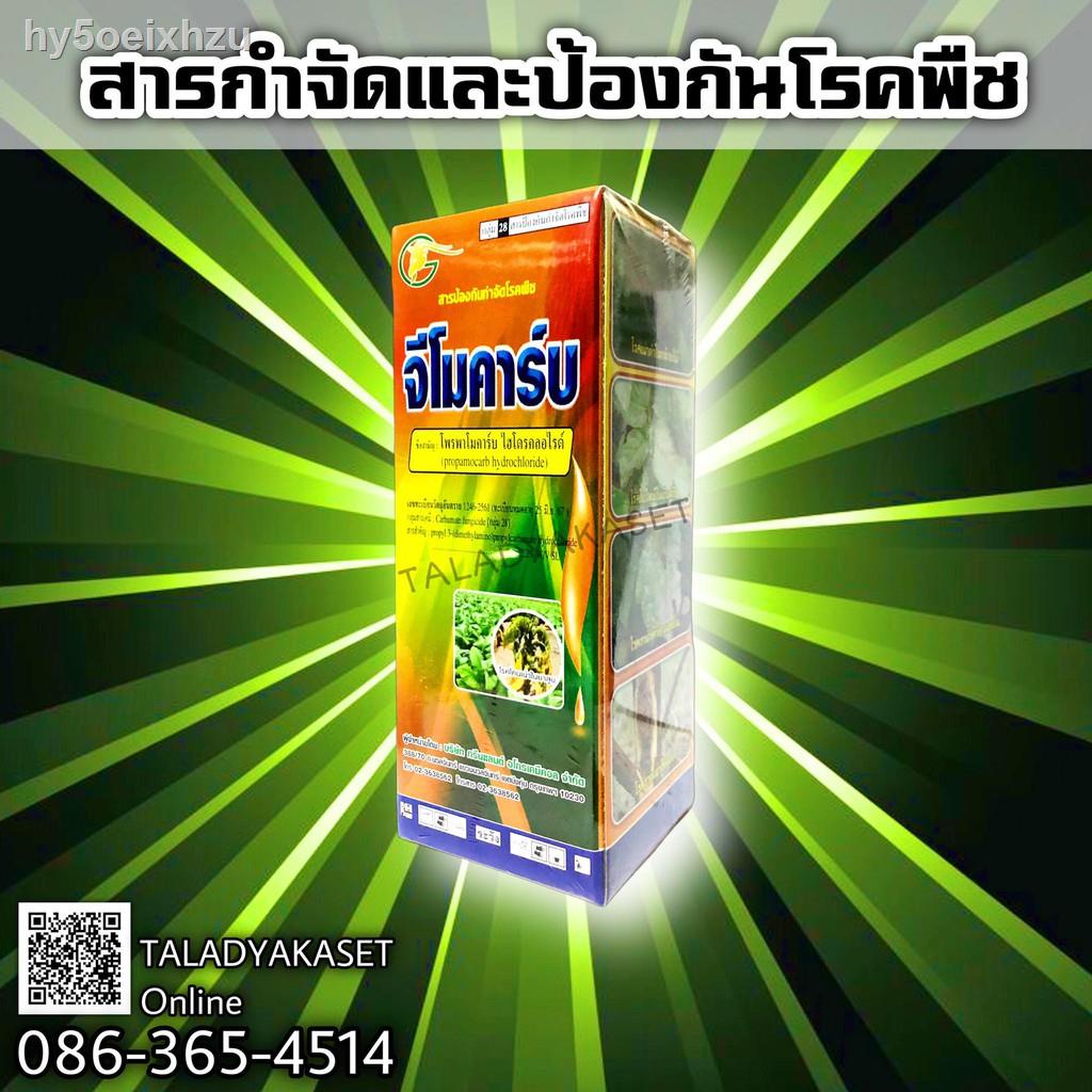 My Image 24