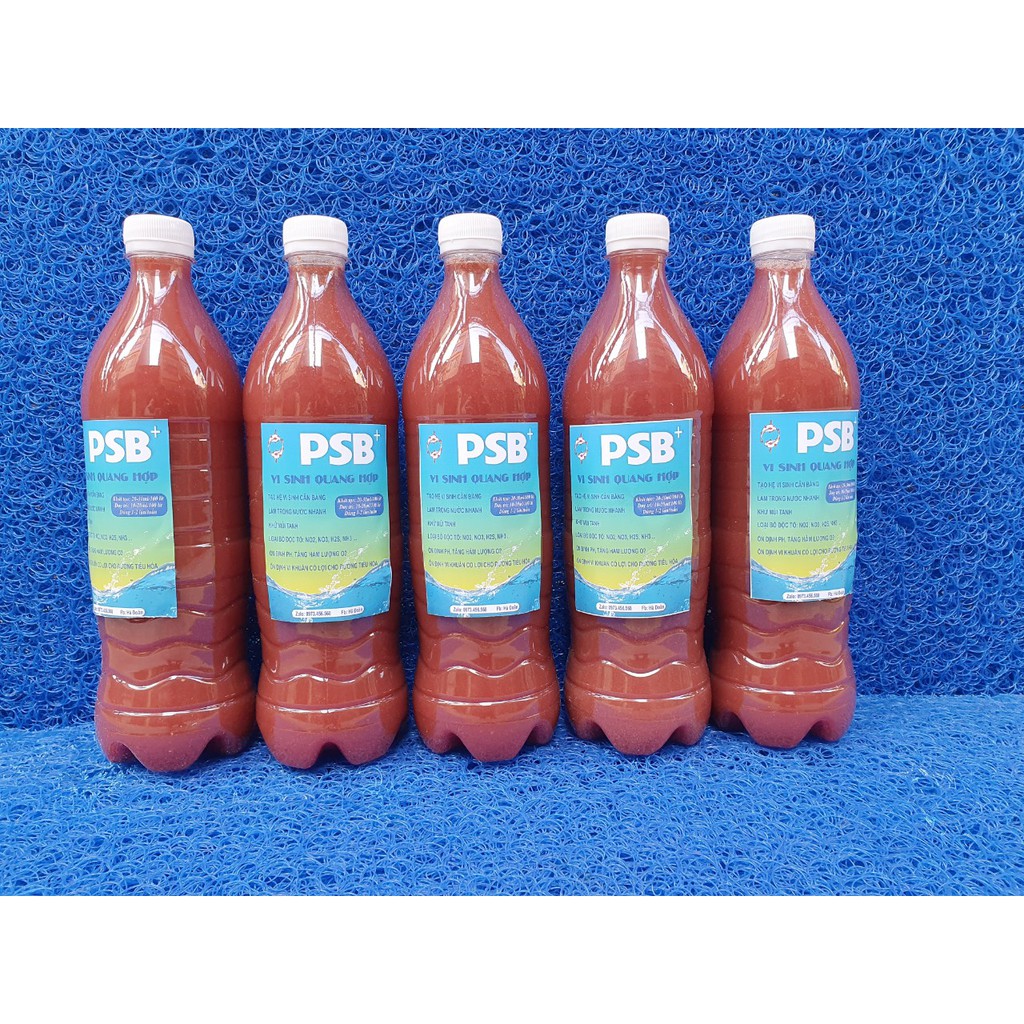 โปรไบโอติก PSB, โปรไบโอติกตู้ปลา, โปรไบโอติกตู้ปลาคาร์ฟ, โปรไบโอติกน้ําระบาย