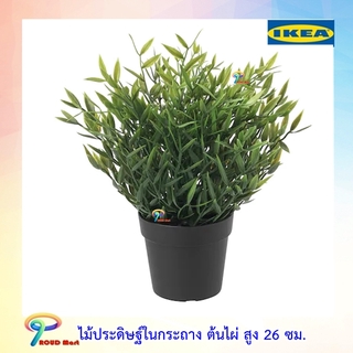 IKEA  ต้นไม้ปลอม ไม้ประดิษฐ์ ไม้ประดิษฐ์ในกระถาง ต้นไผ่ สูง 26 ซม.