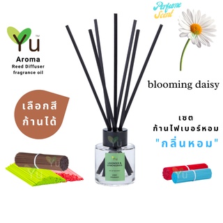 🌈 เลือกก้านได้ ✨ กลิ่น Blooming Daisy กลิ่นคล้าย Daisy Eau De Toilette ของ Marco Jarcobs | ก้านไม้หอม 50 ml. ✨ 4 mm x 20