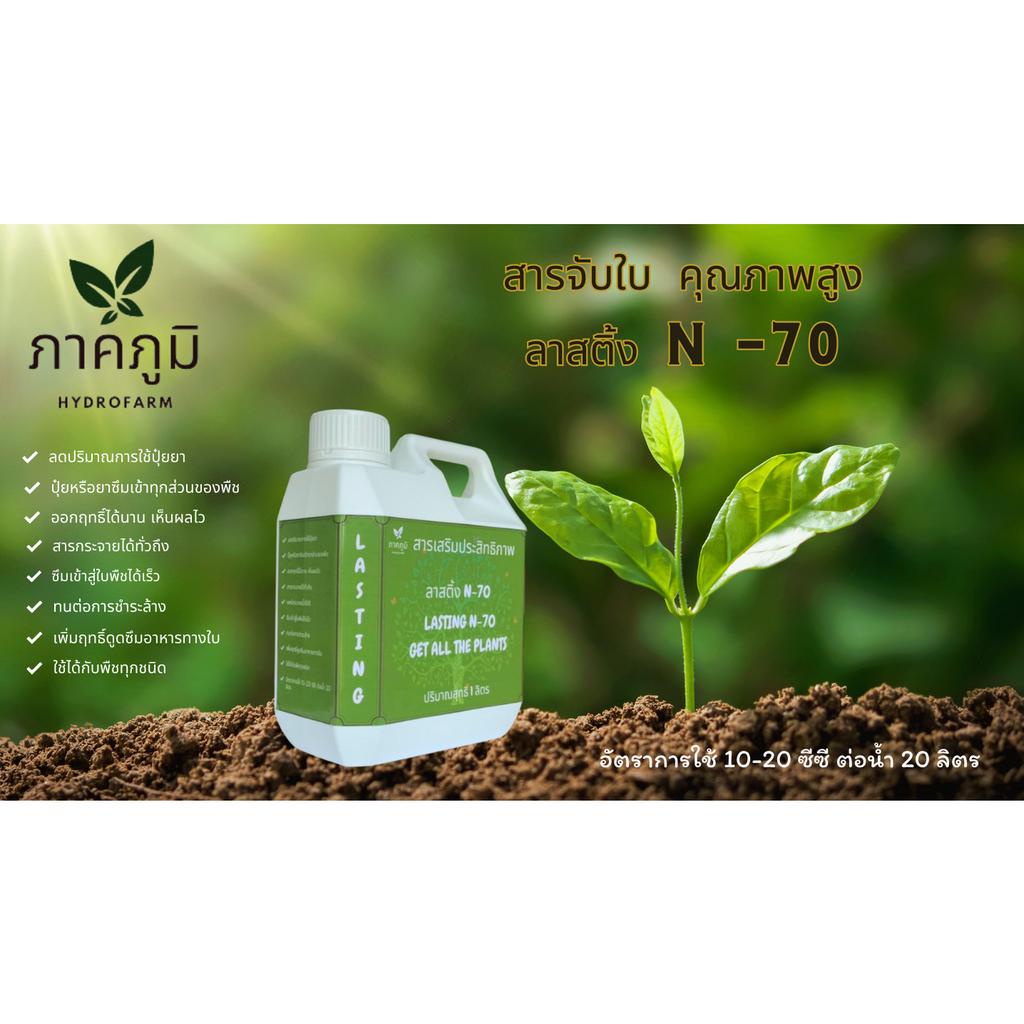 สารจับใบ/ลาสติ้งN-70