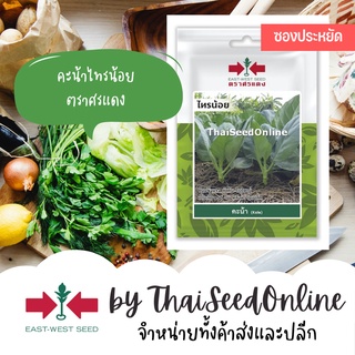 VP3 ซฟ เมล็ดพันธุ์ คะน้ายอด ไทรน้อย 1700เมล็ด ตราศรแดง ซอง 10บาท Chinese Kale