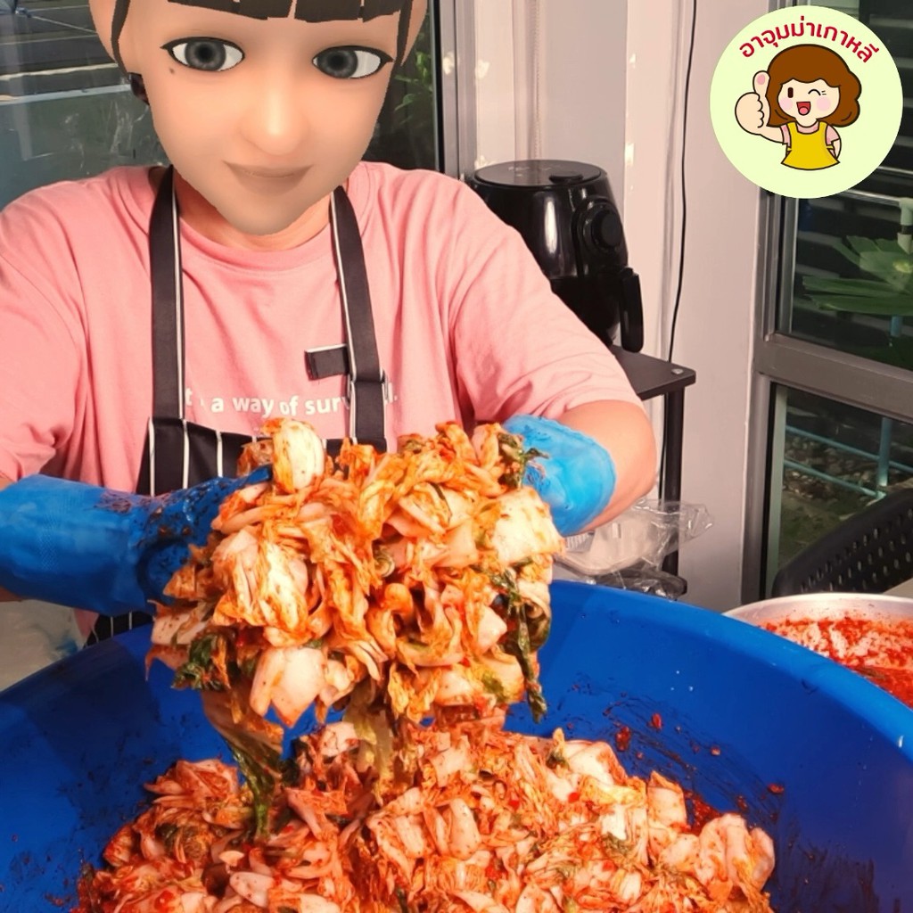 AjummaKaoli Kimchi 김치, กิมจิ, กิมจิผักกาด by อาจุมม่าเกาหลี / กิมจิเกาหลี, กิมจิผักกาดขาว, kimji, Aj