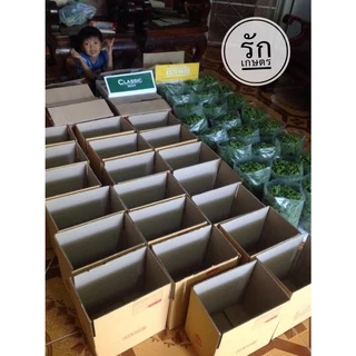 แหนแดง ไมโครฟิลล่า 🍀🍀🍀500กรัม28บาท🍀🍀แหนแดงพันธุ์เกษตร