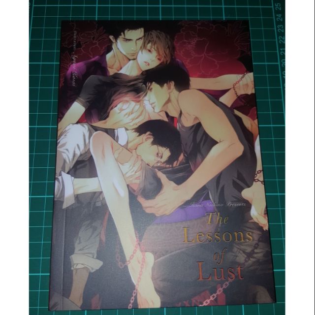นิยายแปล the lessons of lust