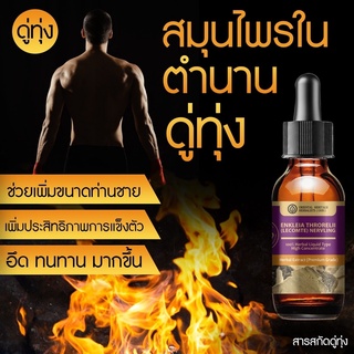 สำหรับนวด ดู่ทุ่ง ใหญ่ ยาว ทนทาน (Enkleia thorelii (Lecomte) Nervling)   普拉杜·通 เข้มข้นสูง ชนิดน้ำ ขนาด 25 มล.