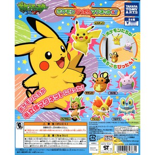 Gashapon Pokemon Pita Magnet XY - กาชาปอง โปเกม่อน พิต้าแม็กเน็ก