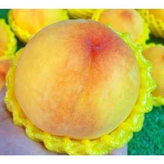 TOP-1ลูกพีชสดนำเข้า (4ลูก) PEACH  (CHN) ~ลดพิเศษ~ พรีเมี่ยม หอม หวาน ! ผลไม้สดๆ นำเข้า (ลูกท้อสด ผลไม้ลูกพีชนอก)