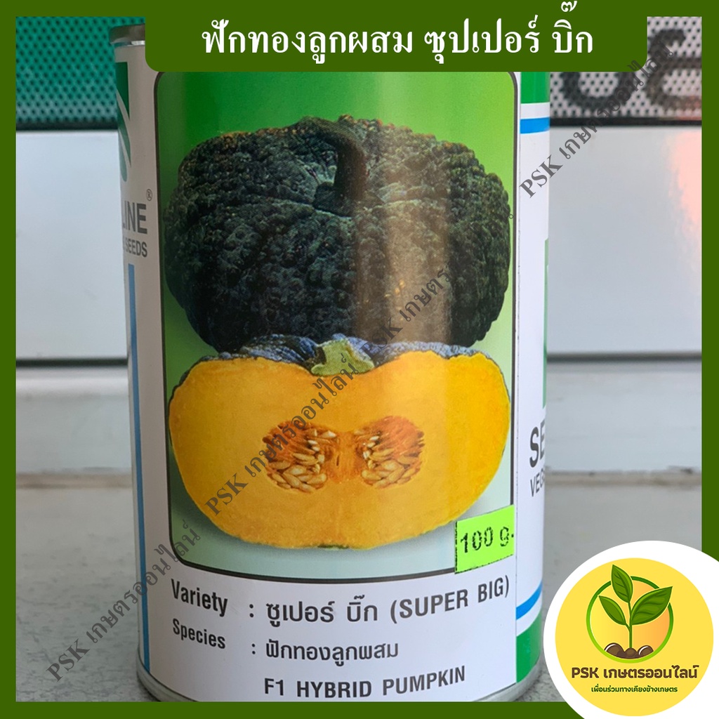 ฟักทอง ซุปเปอร์ บิ๊ก 100 กรัม เมล็ดพันธุ์พืช (PSK เกษตรออนไลน์)