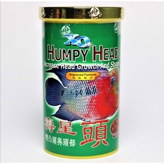 อาหารปลาหมอสี XO HUMPY HEAD