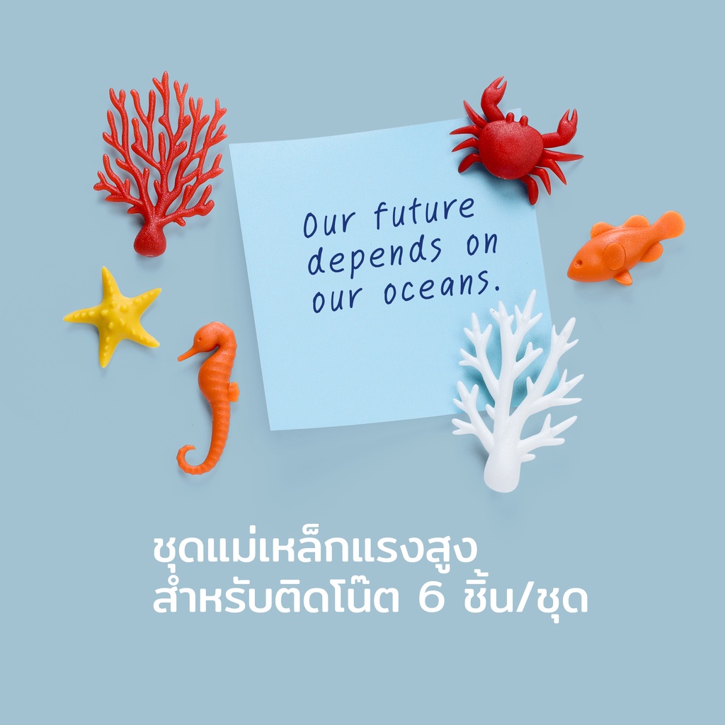 Ocean Ecology Magnet แม่เหล็กติดตู้เย็น ดีไซน์ สัตว์ใต้ทะเล Qualy (ควอลี่)