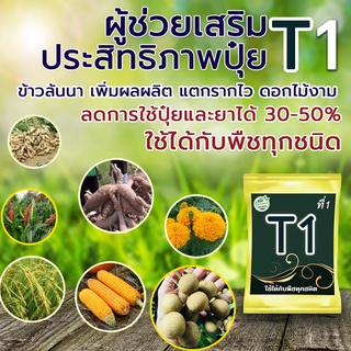 T1(ทีวัน) อาหารเสริมพืช ไซส์ S ใช้ได้กับพืชทุกชนิด สารเสริมประสิทธิภาพปุ๋ยทางใบ ลดต้นทุนเพิ่มผลผลิต ข้าวล้นนา มันหัวใหญ่