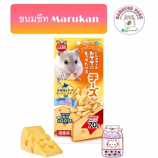 Marukanขนมชีทเต๋าสำหรับสัตว์เลี้ยงฟันแทะ