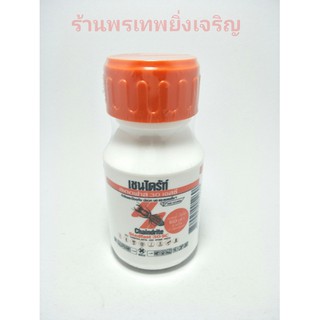 เชนไดร้ท์ ยากำจัดปลวก สเตดฟาส30เอสซี 250ml ยาฆ่าปลวก